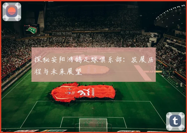 探秘安阳鸿鹄足球俱乐部:发展历程与未来展望