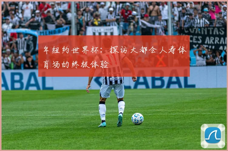 年纽约世界杯：探访大都会人寿体育场的终极体验