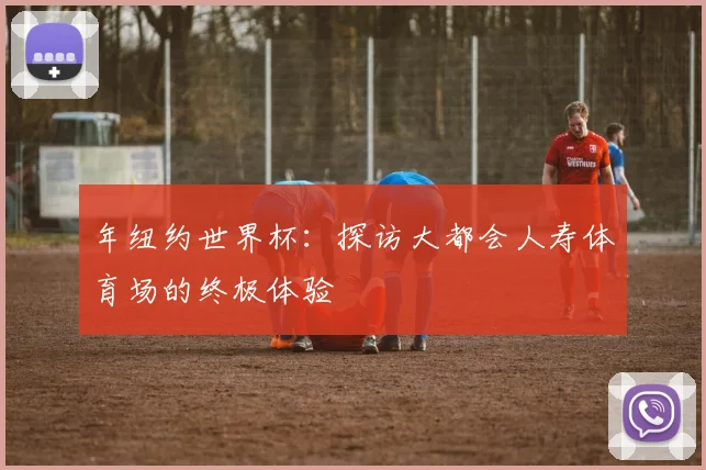 年纽约世界杯:探访大都会人寿体育场的终极体验